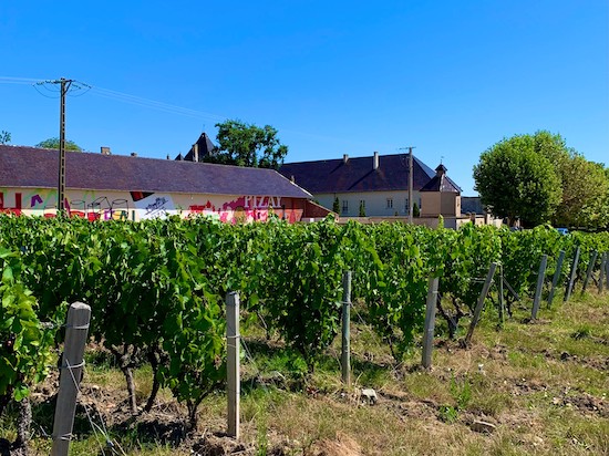 Photo Château de Pizay - Association Beaujol'art - dégustation de vin à bien boire en Beaujolais BBB