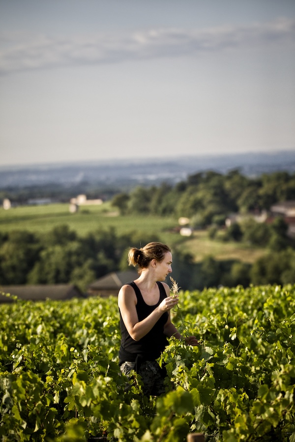 Photo Clos de Mez - Association Beaujol'art - dégustation de vin à bien boire en Beaujolais BBB