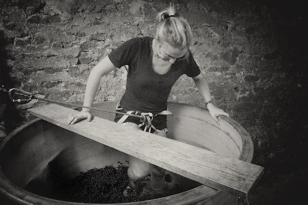 Photo Clos de Mez - dégustation de vin à bien boire en Beaujolais BBB