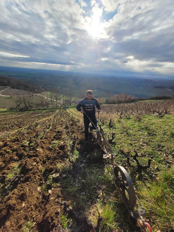 Photo Domaine Célia et David Large - dégustation de vin à bien boire en Beaujolais BBB