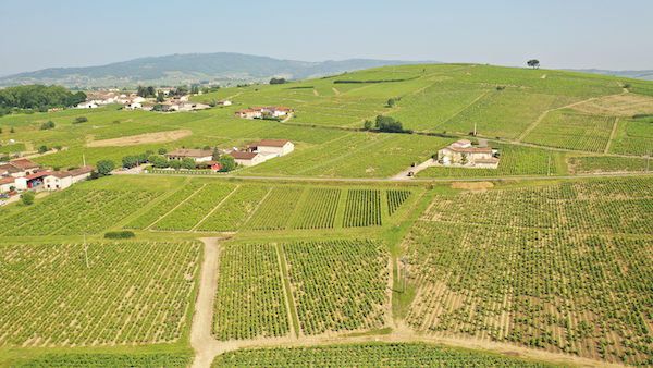 Photo Domaine des Souchons - dégustation de vin à bien boire en Beaujolais BBB