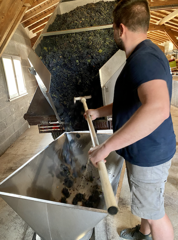 Photo Domaine Longère - Association Beaujol'art - dégustation de vin à bien boire en Beaujolais BBB
