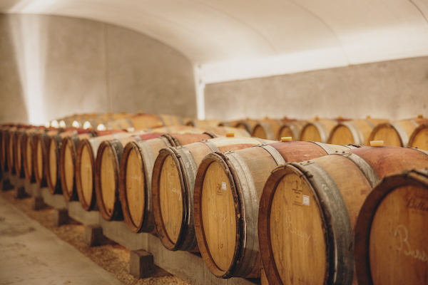 Photo Domaine Mont Bessay - dégustation de vin à bien boire en Beaujolais BBB
