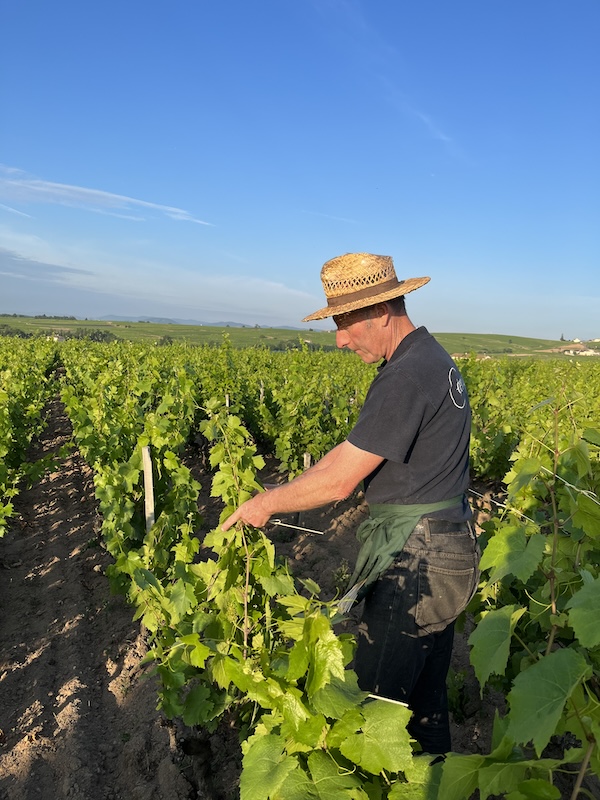 Photo Domaine Paul Janin & Fils - dégustation de vin à bien boire en Beaujolais BBB