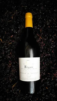 Photo Domaine Prunelle de Navacelle - dégustation de vin à bien boire en Beaujolais BBB