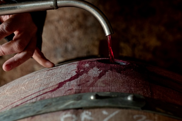 Photo Domaine Romain Jambon - dégustation de vin à bien boire en Beaujolais BBB