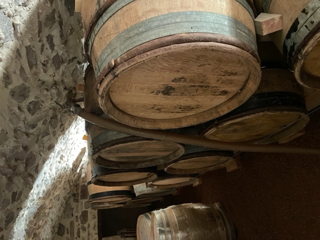 Photo Domaine Pierre Van Oost - dégustation de vin à bien boire en Beaujolais BBB