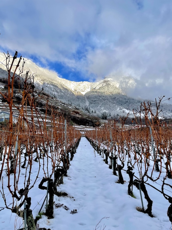 Photo Domaine Chappaz - invité de l'Association Beaujol'art - dégustation de vin à bien boire en Beaujolais BBB