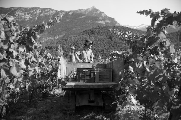Photo Domaine Les Hauts Lieux - invité de l'Association Beaujol'art - dégustation de vin à bien boire en Beaujolais BBB