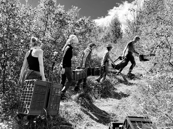 Photo Domaine Les Hauts Lieux - invité de l'Association Beaujol'art - dégustation de vin à bien boire en Beaujolais BBB