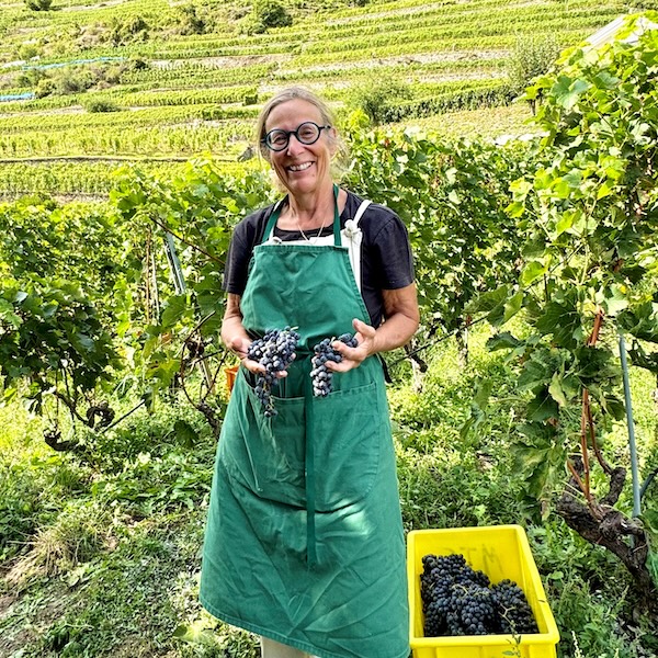photo du Domaine Chappaz invités de Beaujol'Art pour la 14 ème édition BBB au Château de Pizay les 19 et 20 Avril 2026